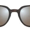 Bex - Lind Brown Sunglasses