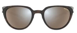 Bex - Lind Brown Sunglasses