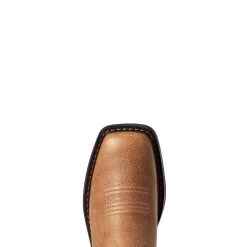 Ariat Boys Bark And Black Forest Workhog XT Cowboy Boot -Comprehensive Shop P2397540 05 20874.1631893044